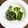 horseland's cooksnap of when they made モロッコいんげんと玉ねぎのマリネ風サラダ.
