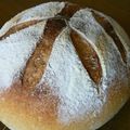 たべっち's cooksnap of when they made りんご酵母の作り方.