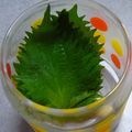 こまきてぃ's cooksnap of when they made 大葉の保存方法.
