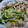 のすけのすけ's cooksnap of when they made 簡単！ほうれん草と豚肉の炒め物☆.