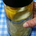 ととろ＆めい's cooksnap of when they made レモン酒（ホワイトリカー）＆経過.