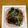 クックP8KGHH☆'s cooksnap of when they made 納豆ご飯　韓国風.