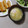よちりん's cooksnap of when they made 卵と玉ねぎのみそ汁☆.
