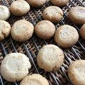 ｍａｎｉ−ｍａｎｉ's cooksnap of when they made サクサク！ゆず塩クッキー.