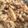 りちクッキング's cooksnap of when they made レンジでおから煮.