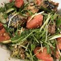 伊達こまち's cooksnap of when they made 簡単大量消費♡鯖缶と水菜のサラダ.