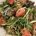 伊達こまち's cooksnap of when they made 簡単大量消費♡鯖缶と水菜のサラダ.