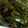 mari・y's cooksnap of when they made ピーマンとじゃこ炒め.