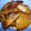 くろあ０３０７'s cooksnap of when they made ごまたっぷり♪黒大根.