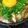 ｱｲﾊﾅ's cooksnap of when they made アジの漬け丼.