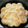 cyi☆miru's cooksnap of when they made HB使用✾ミルクちぎりぱん✾.