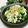 Dellaたん's cooksnap of when they made 小松菜とミンチの中華炒め.