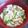o☆shino's cooksnap of when they made からだポカポカ✾簡単あんかけうどん.