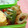 ゆうかりコアラ's cooksnap of when they made お弁当に♪ちくわといんげんの胡麻ゴマ.