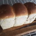 Monkinton's cooksnap of when they made フワッフワ湯種食パン ☆冷蔵庫発酵☆.