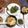 ちょこまなな＊°'s cooksnap of when they made カブの葉（大根でも）もぐもぐレシピ.