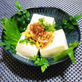 辰夫女子's cooksnap of when they made 旨ウマ！薬味のねぎ塩だれ★冷やっこ.