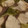 れそそ's cooksnap of when they made 〆はおそば♪みぞれぶりしゃぶ.