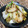 料理男子部's cooksnap of when they made 海老と長ネギのナンプラー炒め.