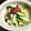 めけてー's cooksnap of when they made 長芋ときゅうりで☆さっぱり梅風味.