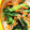 かなちん0807's cooksnap of when they made ちぢみ菜とにんじんのごま和え.