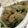 クックHIY9A1☆'s cooksnap of when they made 【ニラともやしのシーフードあんかけ炒め】.