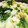 菜つ実☆ミ's cooksnap of when they made レタスのみぞれ鍋.