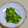 taruママ's cooksnap of when they made きゅうりの飾り切り.