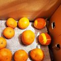 ダッフィーニーうに's cooksnap of when they made みかんの箱買い、腐りにくい保存方法！.