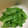 クック78R779☆'s cooksnap of when they made 簡単豆知識☆きぬさやの下拵え.