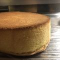 yui_pi's cooksnap of when they made 米粉スポンジ（パータ・ジェノワーズ）.