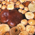 t_ohta's cooksnap of when they made 簡単！＊天然きのこの下処理.