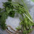 ベル★'s cooksnap of when they made 香り野菜の保存法.