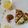 クック1AEU46☆'s cooksnap of when they made ✾ほうれん草とベーコンのキッシュ✾.