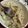 クックHIY9A1☆'s cooksnap of when they made オクラともやしのおかか胡麻マヨ和え.