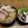 momoピッピ's cooksnap of when they made 絶品！チャーシュー.