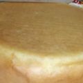 やましょー's cooksnap of when they made 失敗する気がしない。スポンジケーキレシピ.