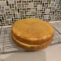 ももたんちゃん's cooksnap of when they made しっとり、ふ～んわりスポンジ(共立て）.