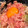 ころん♬'s cooksnap of when they made のっけるだけ！まぐろ＆釜揚げしらす丼.