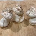 flutyberry's cooksnap of when they made ブッシュドノエルにメレンゲきのこ♪.