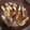 クロ８５'s cooksnap of when they made 鶏 手羽中の塩焼きかなぁ？.