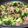 Sa〜ちゃん's cooksnap of when they made ブロッコリーと豚肉のオイスターソース炒め.