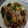 M130018's cooksnap of when they made 豚肉と白菜と長ネギ炒め.