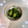☆hironon☆'s cooksnap of when they made 簡単！きゅうりの浅漬け.