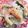 Halcandy51's cooksnap of when they made 具だくさんマカロニサラダ.