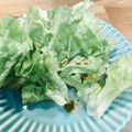 ♡♡（＾Ｏ＾）♡♡'s cooksnap of when they made パクパク食べちゃう♡サニーレタスサラダ.
