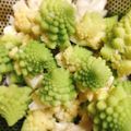 アビーゲイル's cooksnap of when they made 簡単、ロマネスコの美味しい茹で方。.