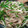 みこひろママ's cooksnap of when they made もやしと舞茸の炒め物。.