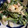ねずみんパラダイス's cooksnap of when they made ほうれん草とゆで卵とハムの簡単サラダ.