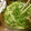 yumi4551's cooksnap of when they made 大根と長芋と水菜の和風ノンオイルサラダ.